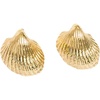 Cockle Shell